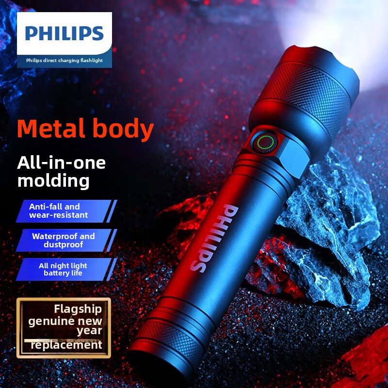 Outdoor Lighting Ideas - 2025 NUOVA Philips SFL2188 Torcia a