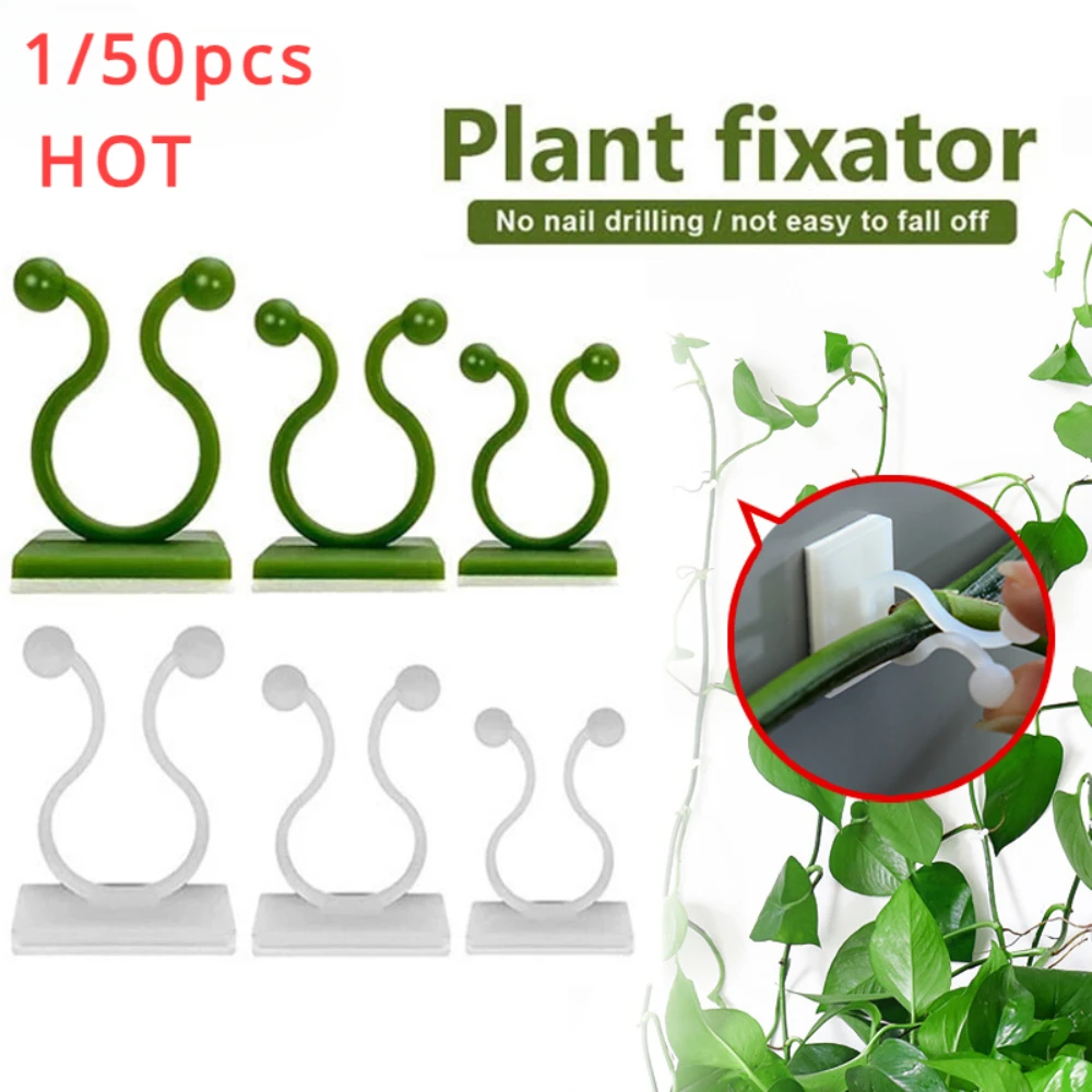Outdoor Lighting Amazon - 1/30/50 pezzi per accessori da giardino