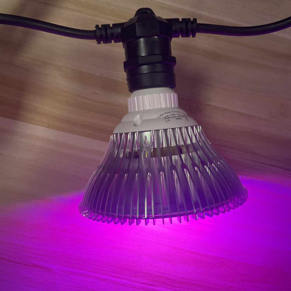 Cavo LED da 10 m, impermeabile - Outdoor Lighting Permanent recensione e prezzo