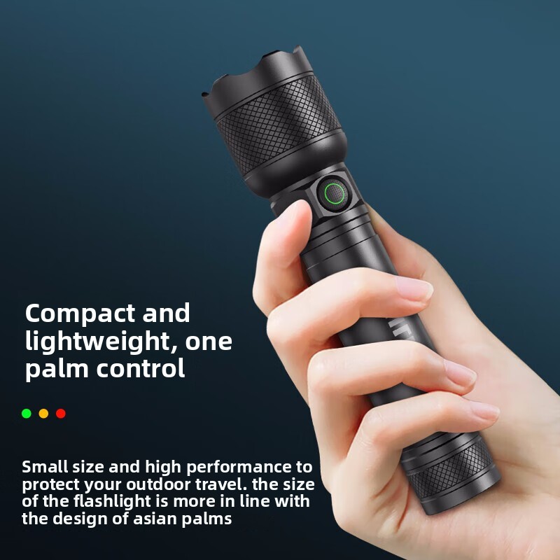 2025 NUOVA Philips SFL2188 Tor - Outdoor Lighting Ideas recensione e prezzo